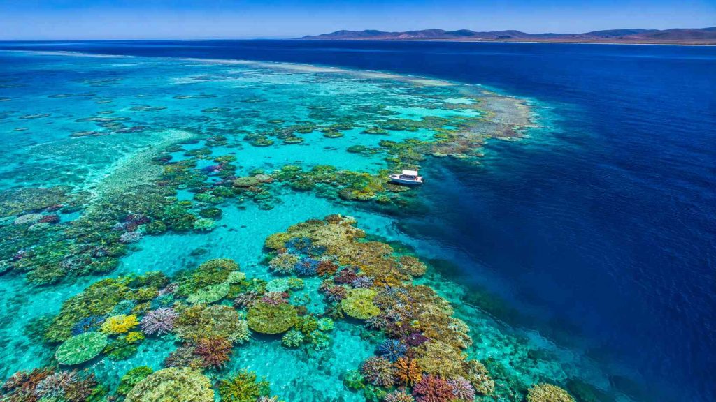 Aerial view of Great Barrier Reef coral formations through crystal clear turquoise water Australia